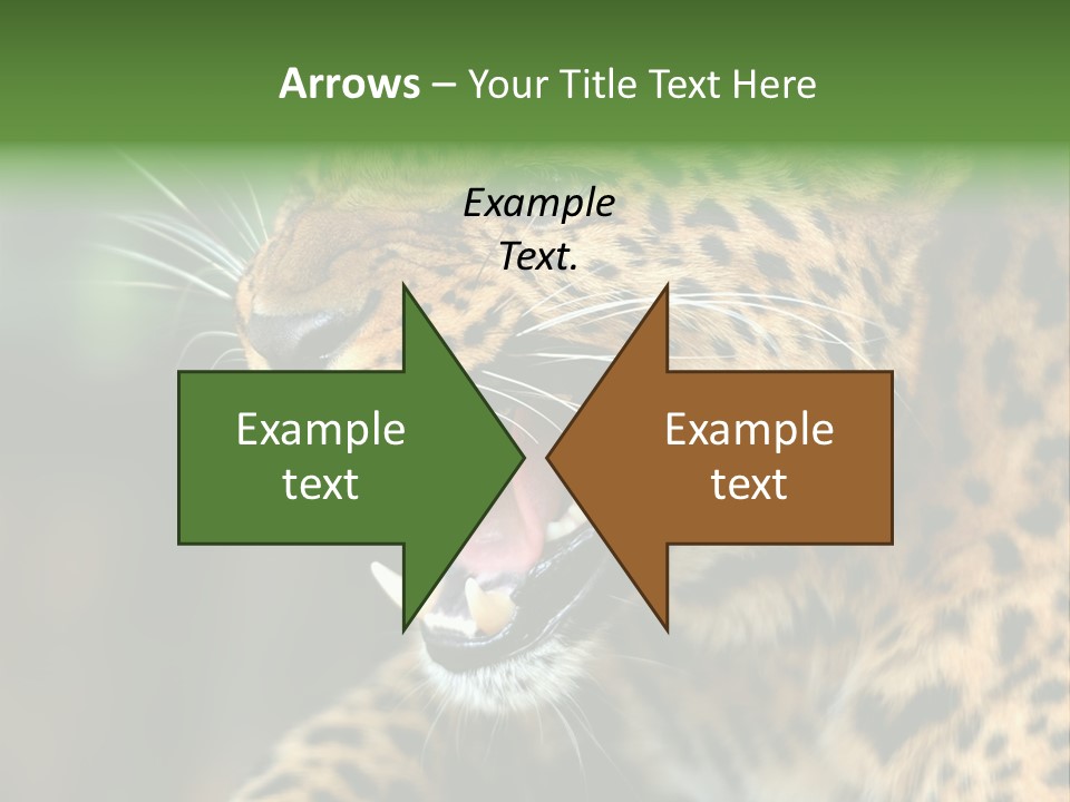 Whiskers Dangerous Mammal PowerPoint Template