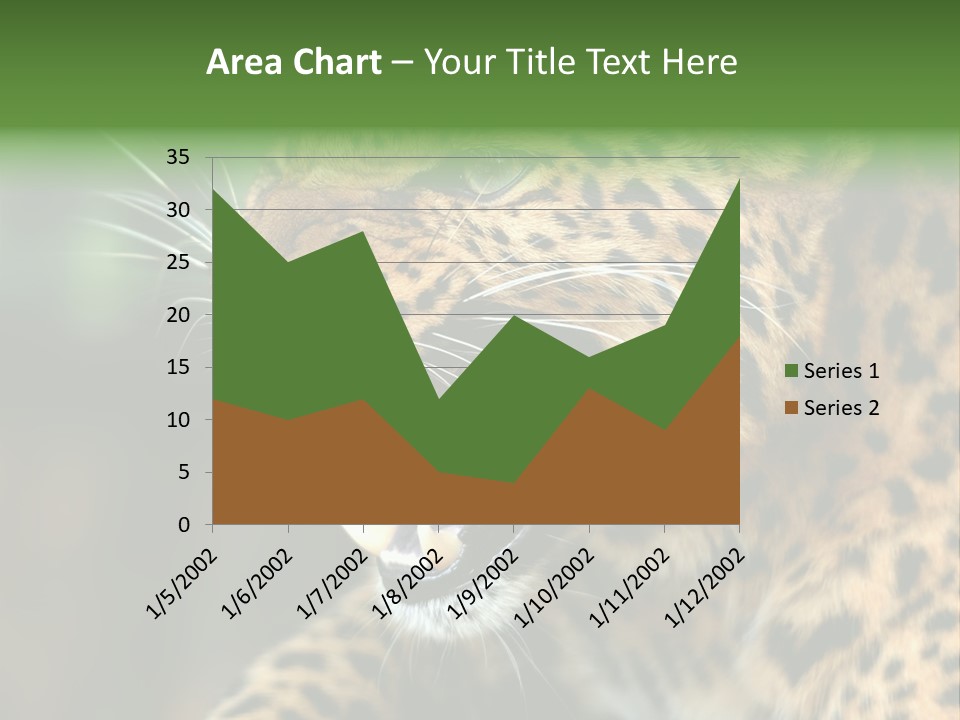 Whiskers Dangerous Mammal PowerPoint Template