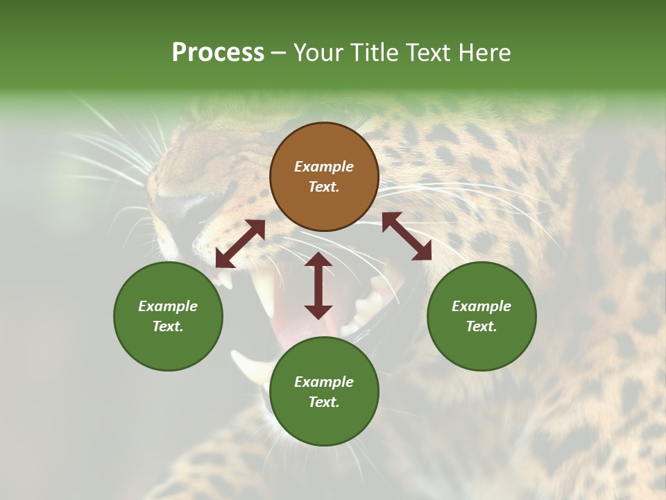 Whiskers Dangerous Mammal PowerPoint Template