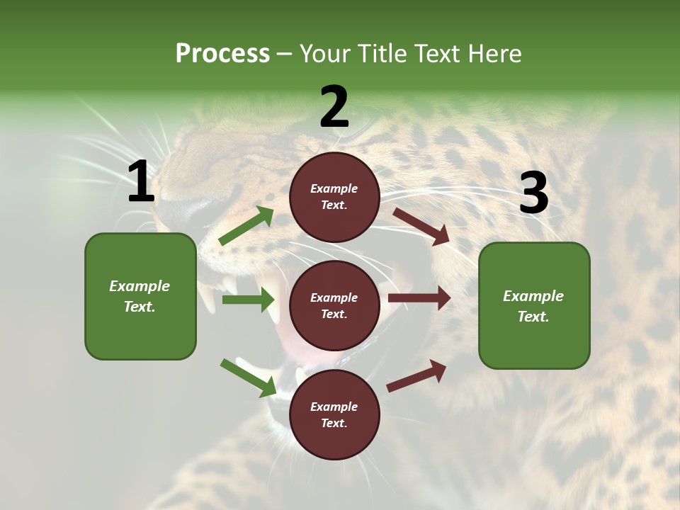 Whiskers Dangerous Mammal PowerPoint Template