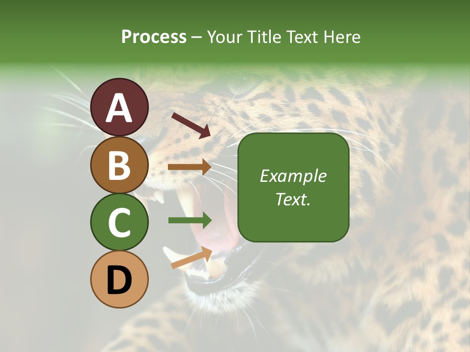 Whiskers Dangerous Mammal PowerPoint Template