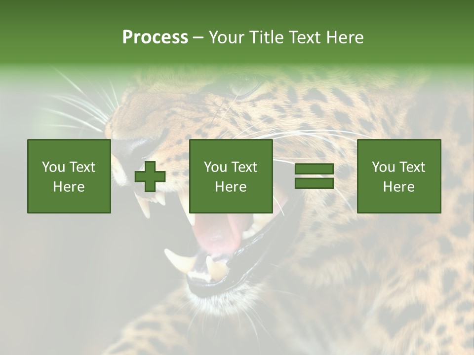 Whiskers Dangerous Mammal PowerPoint Template