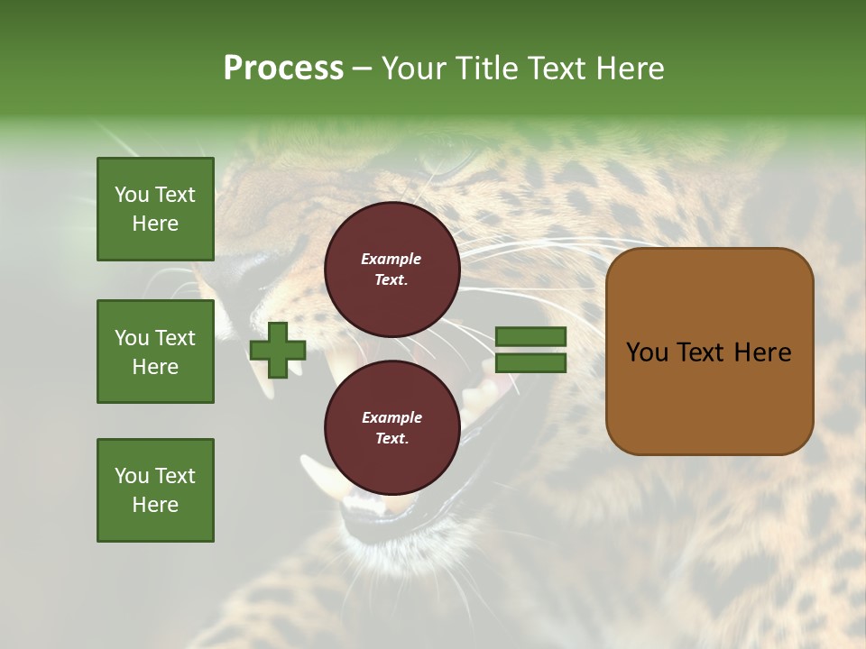 Whiskers Dangerous Mammal PowerPoint Template