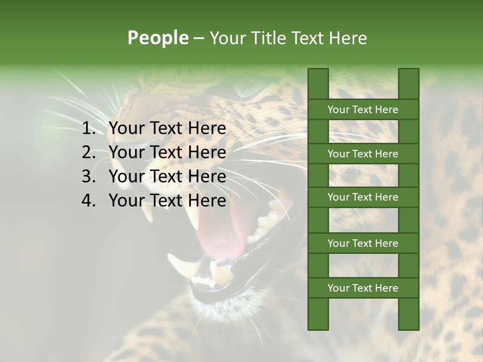 Whiskers Dangerous Mammal PowerPoint Template