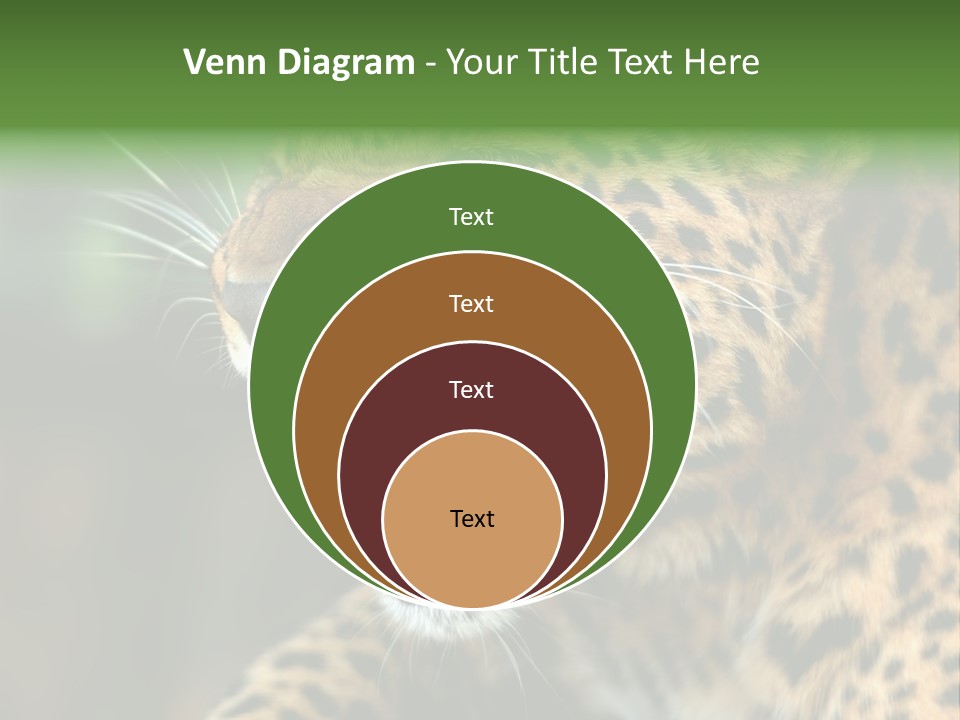 Whiskers Dangerous Mammal PowerPoint Template