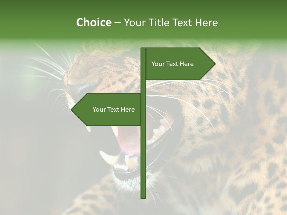 Whiskers Dangerous Mammal PowerPoint Template