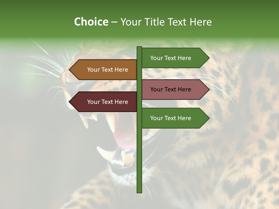 Whiskers Dangerous Mammal PowerPoint Template