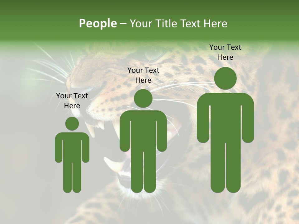 Whiskers Dangerous Mammal PowerPoint Template