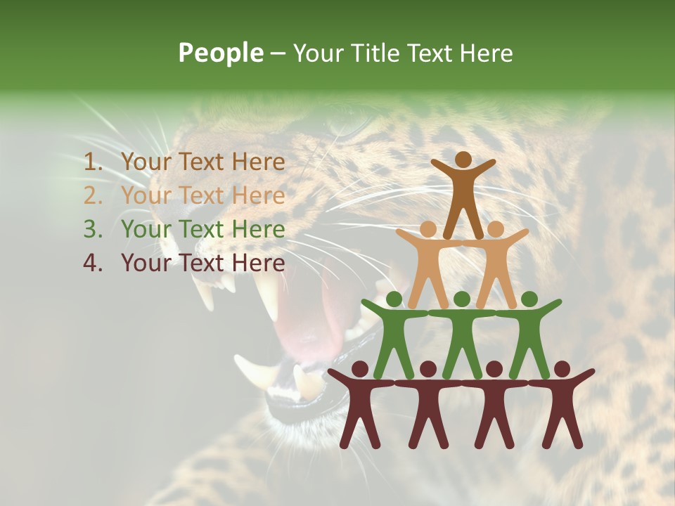 Whiskers Dangerous Mammal PowerPoint Template