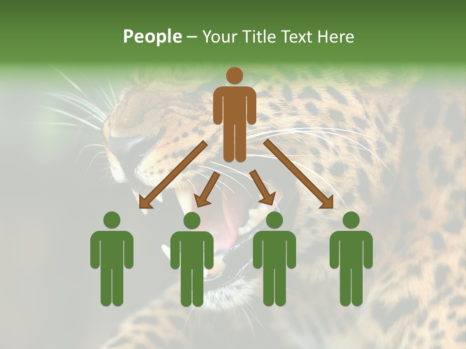 Whiskers Dangerous Mammal PowerPoint Template