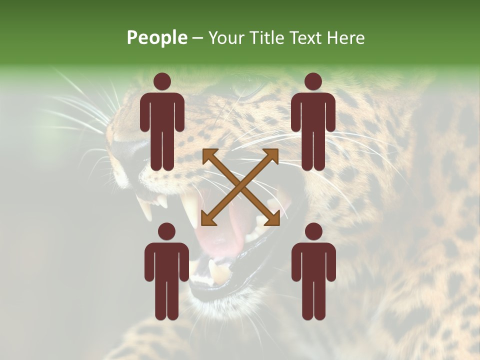 Whiskers Dangerous Mammal PowerPoint Template