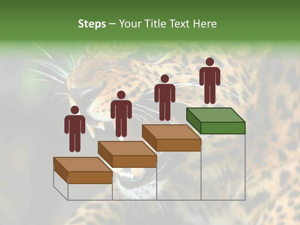 Whiskers Dangerous Mammal PowerPoint Template