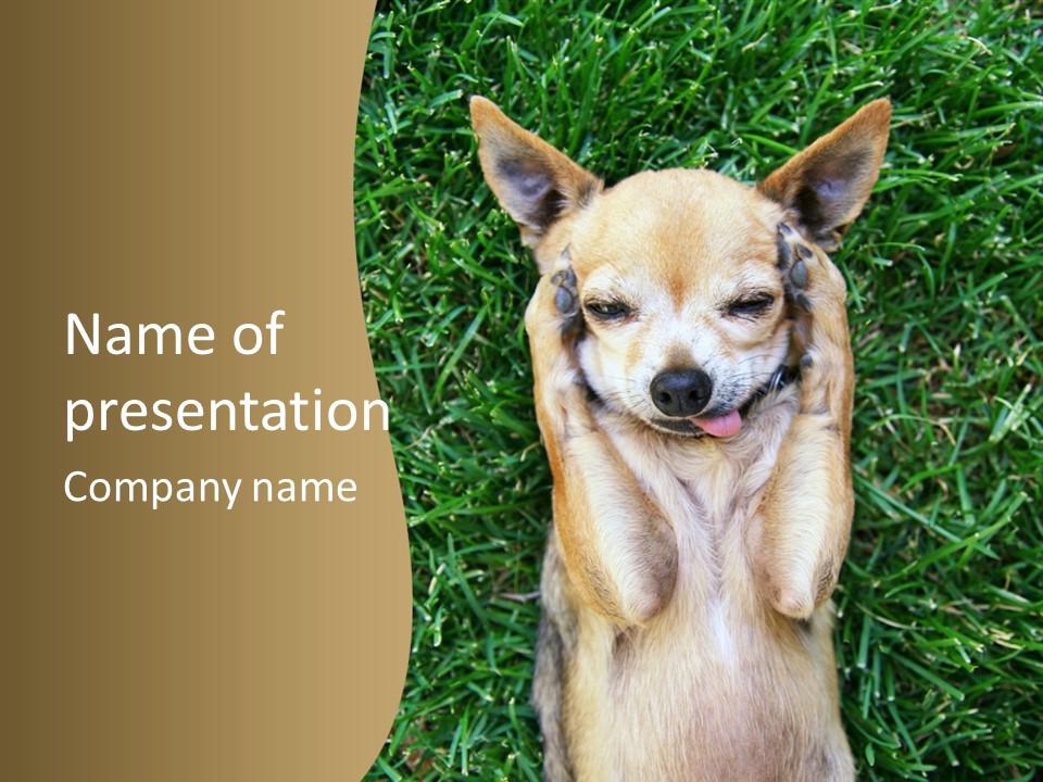 Mammal Canine Grass PowerPoint Template