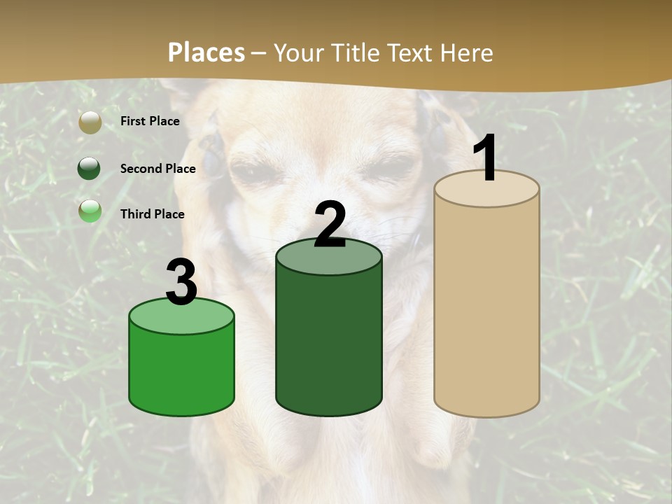 Mammal Canine Grass PowerPoint Template