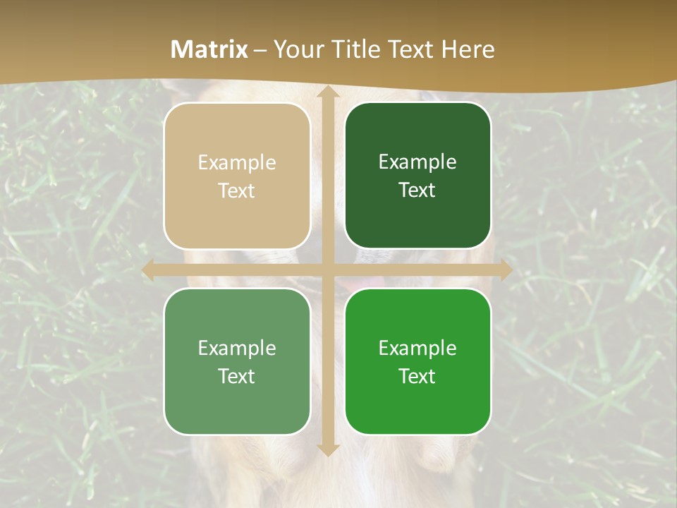 Mammal Canine Grass PowerPoint Template