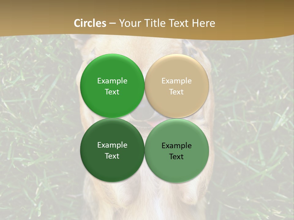 Mammal Canine Grass PowerPoint Template