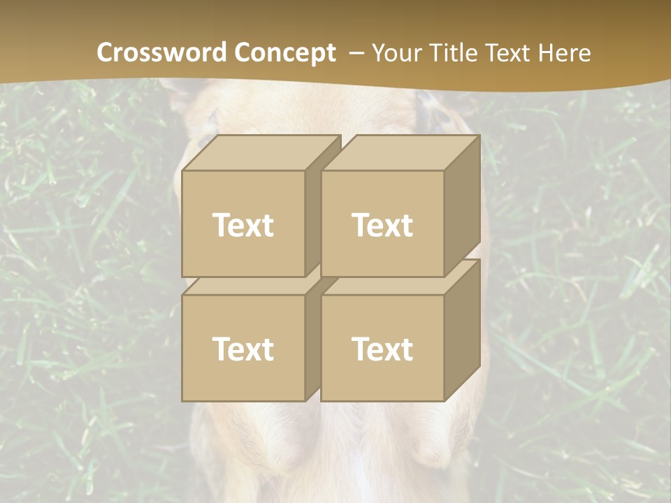 Mammal Canine Grass PowerPoint Template