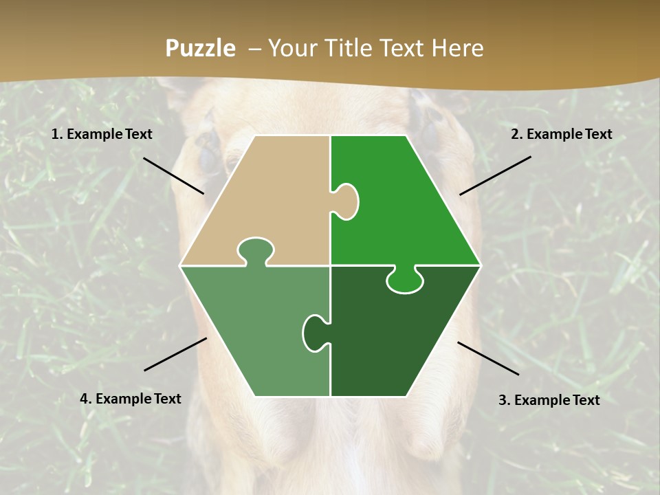 Mammal Canine Grass PowerPoint Template