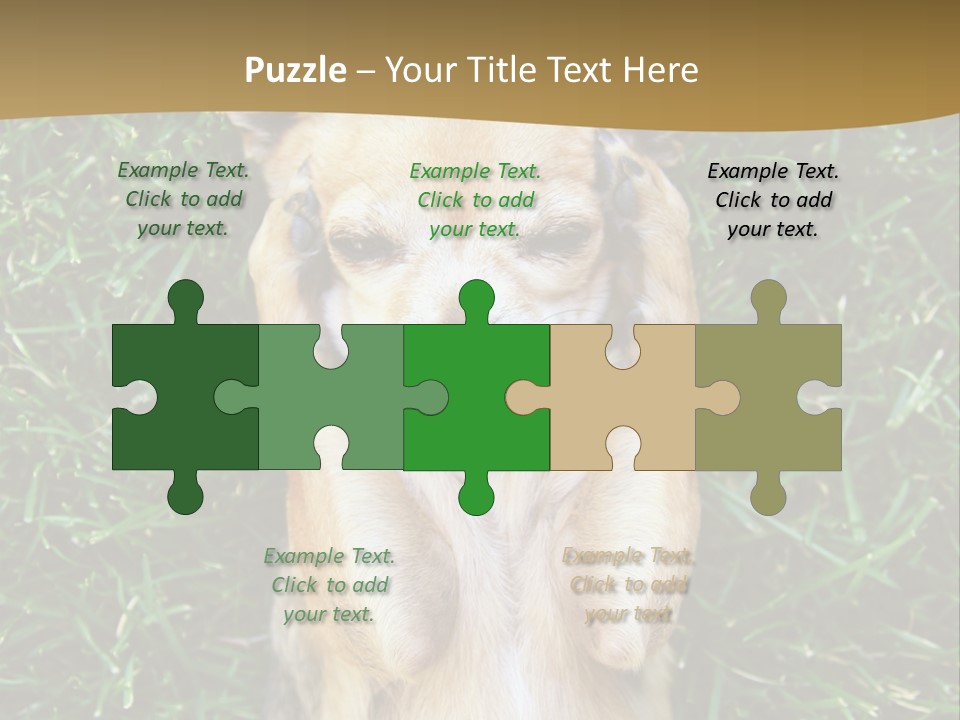 Mammal Canine Grass PowerPoint Template