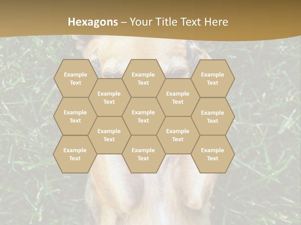 Mammal Canine Grass PowerPoint Template