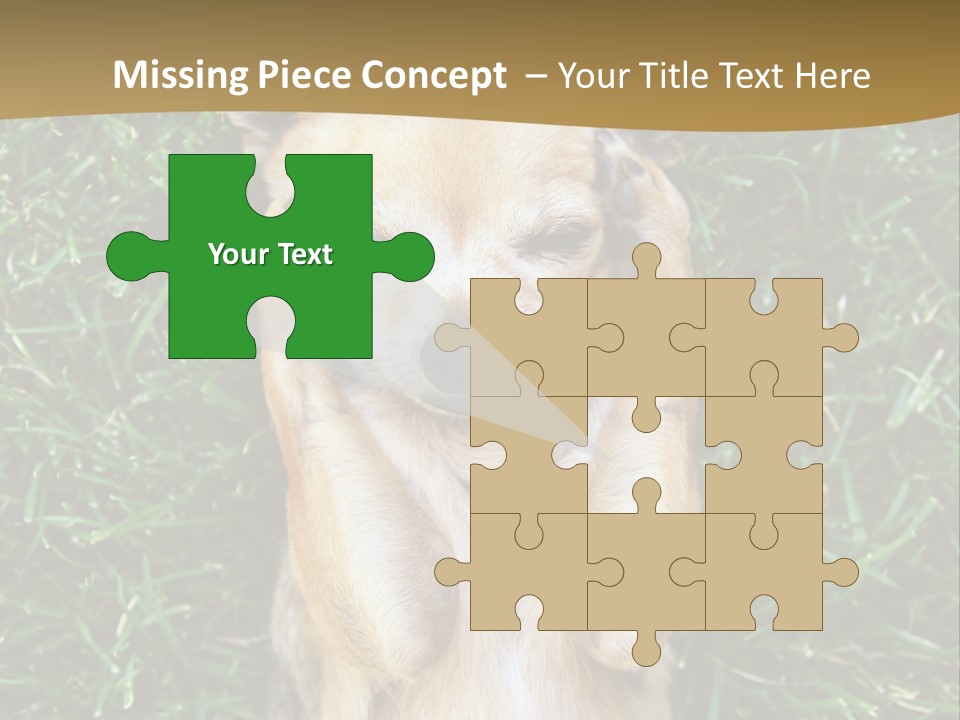 Mammal Canine Grass PowerPoint Template