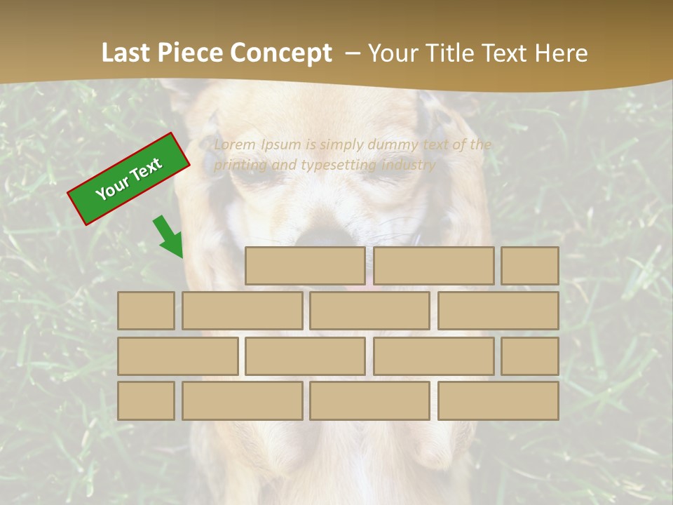 Mammal Canine Grass PowerPoint Template