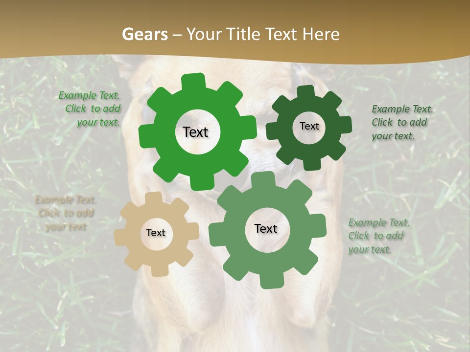 Mammal Canine Grass PowerPoint Template