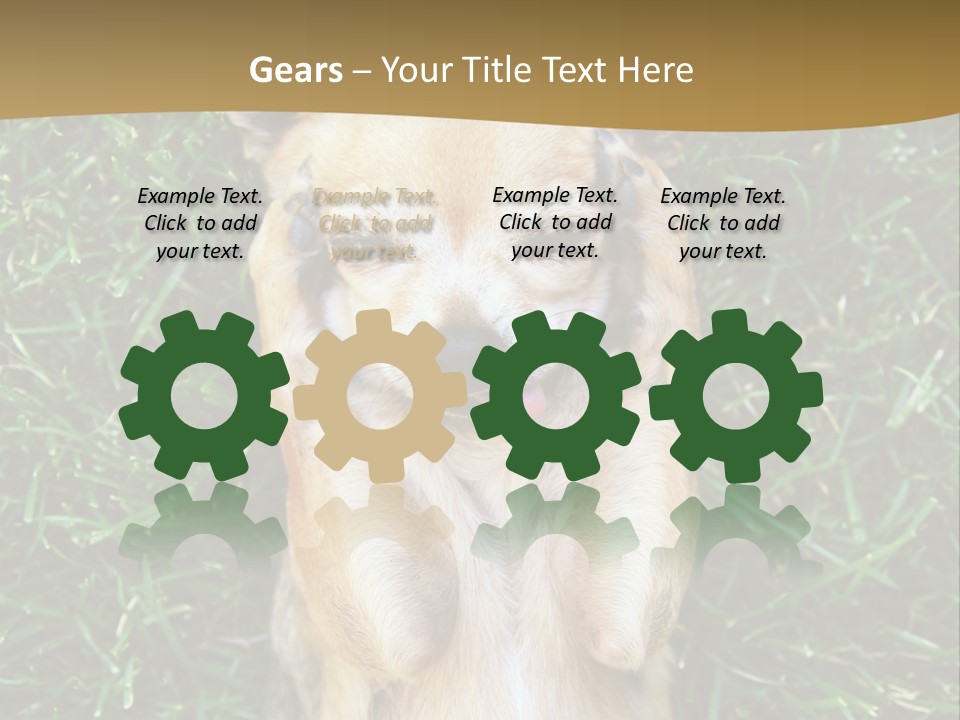 Mammal Canine Grass PowerPoint Template