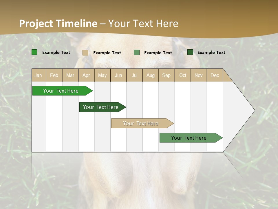 Mammal Canine Grass PowerPoint Template