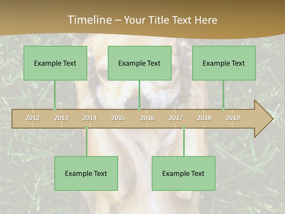 Mammal Canine Grass PowerPoint Template
