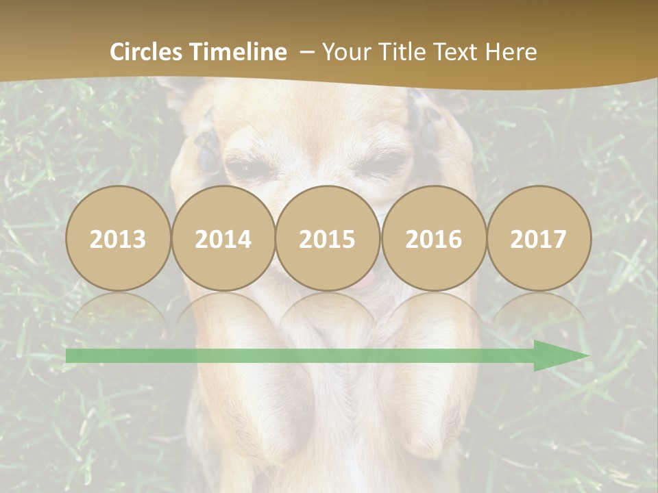 Mammal Canine Grass PowerPoint Template