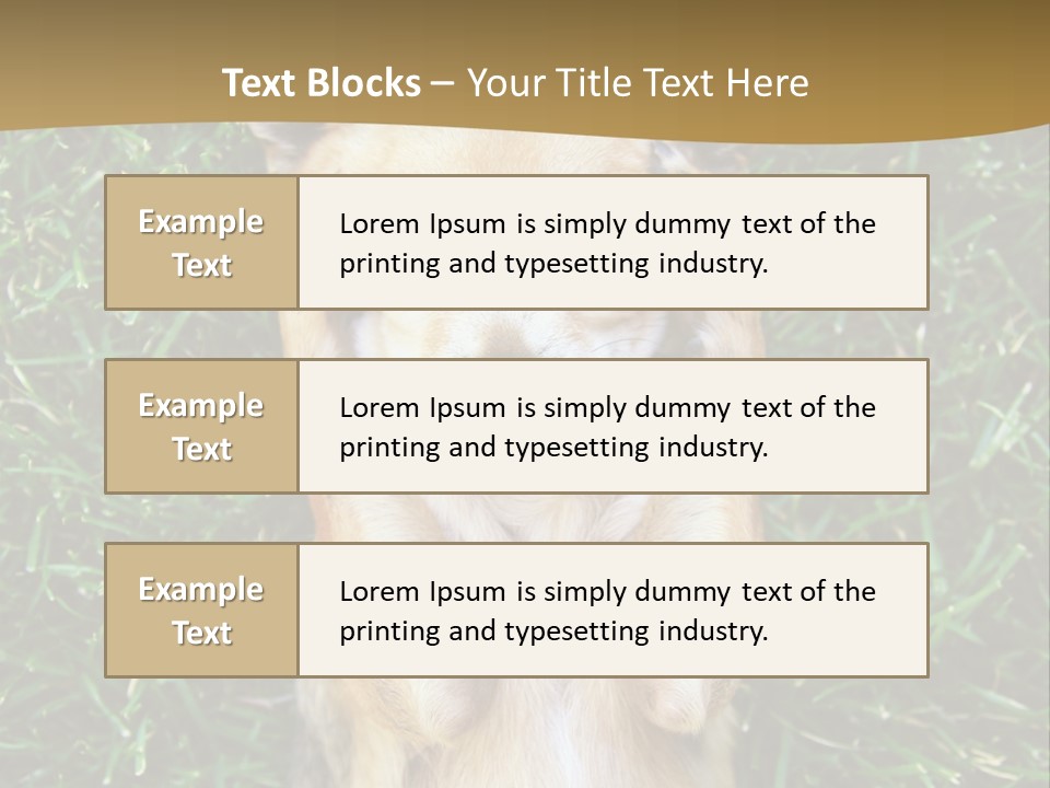 Mammal Canine Grass PowerPoint Template