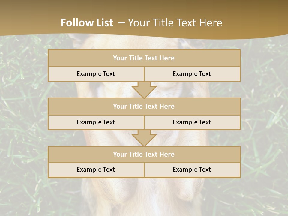 Mammal Canine Grass PowerPoint Template