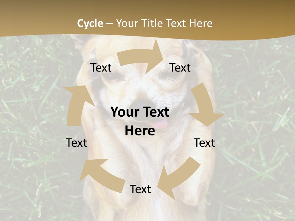 Mammal Canine Grass PowerPoint Template
