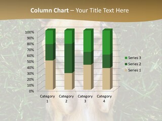 Mammal Canine Grass PowerPoint Template