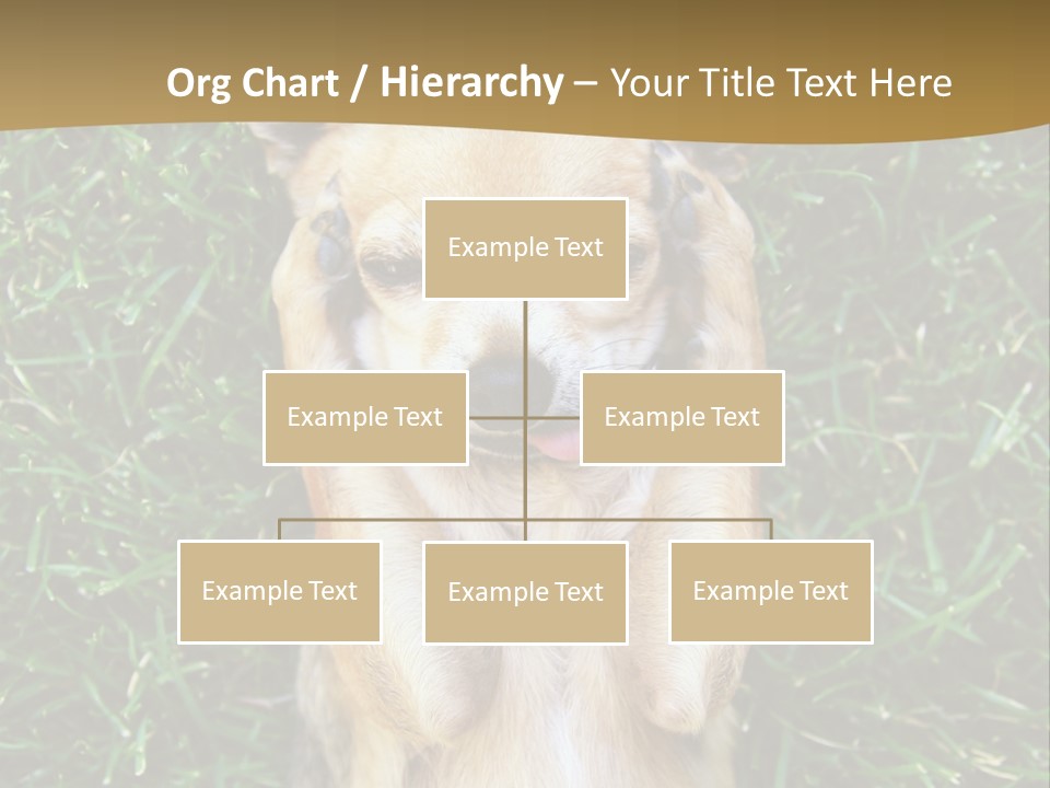 Mammal Canine Grass PowerPoint Template