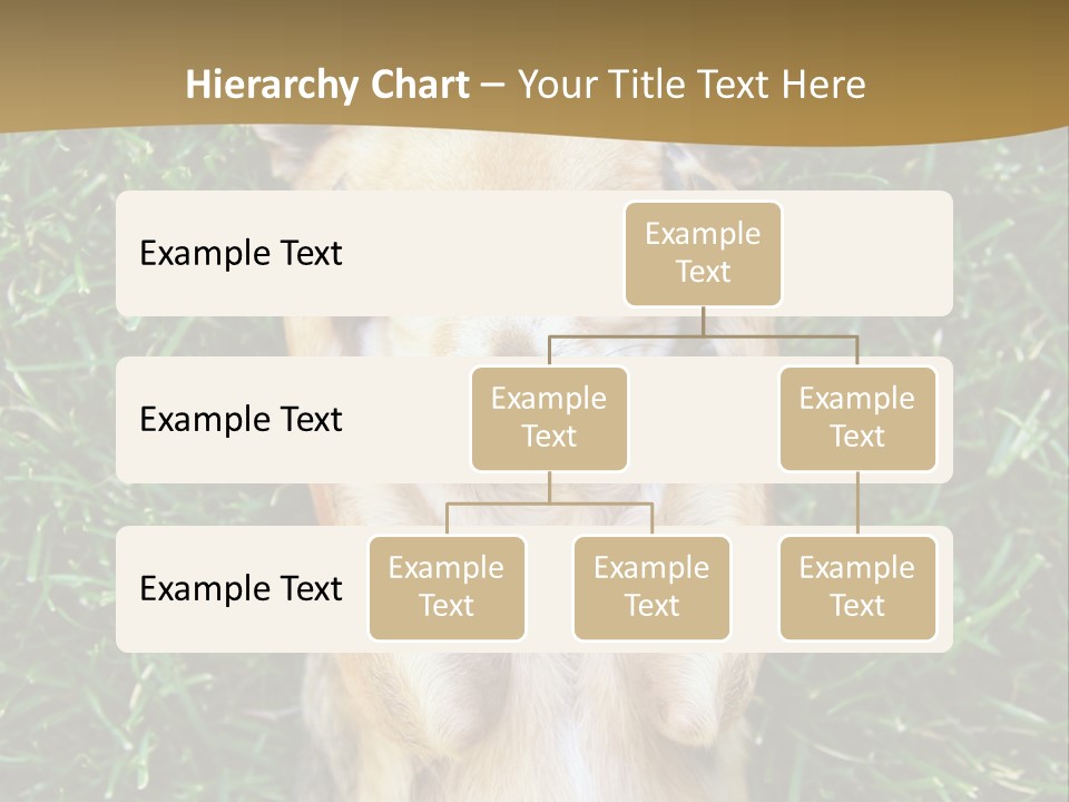 Mammal Canine Grass PowerPoint Template