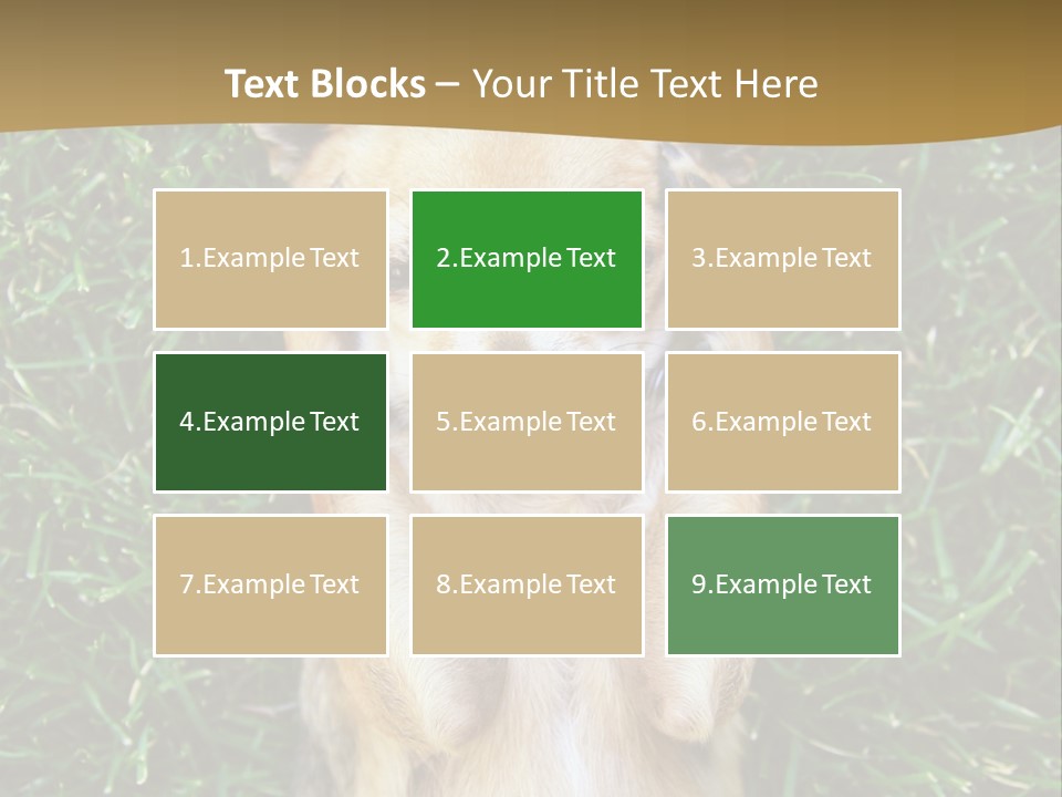 Mammal Canine Grass PowerPoint Template