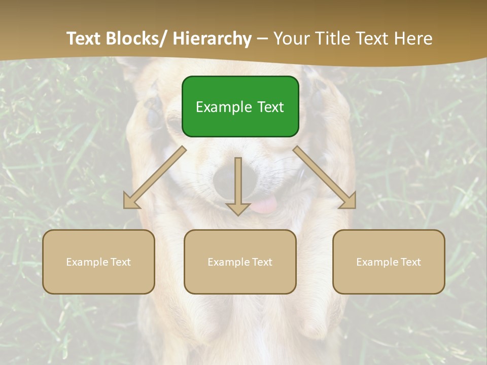 Mammal Canine Grass PowerPoint Template