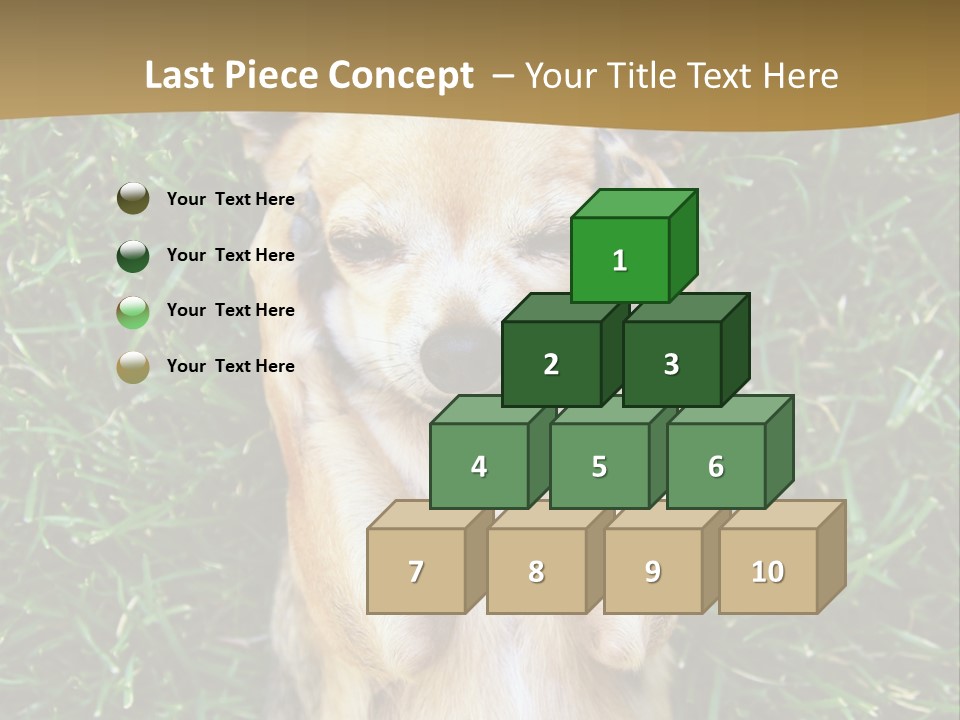 Mammal Canine Grass PowerPoint Template