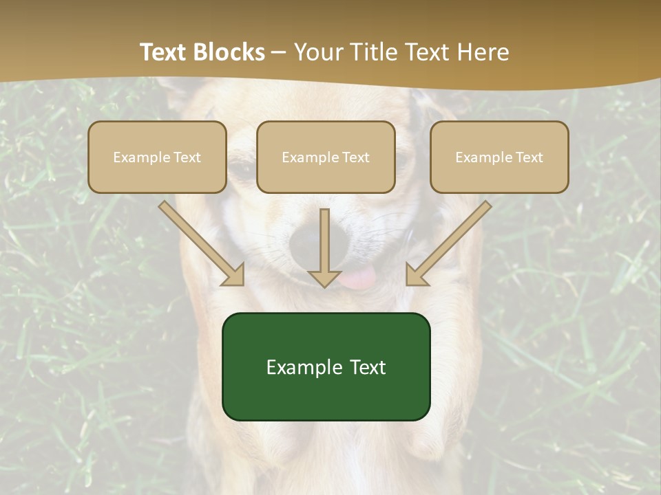 Mammal Canine Grass PowerPoint Template