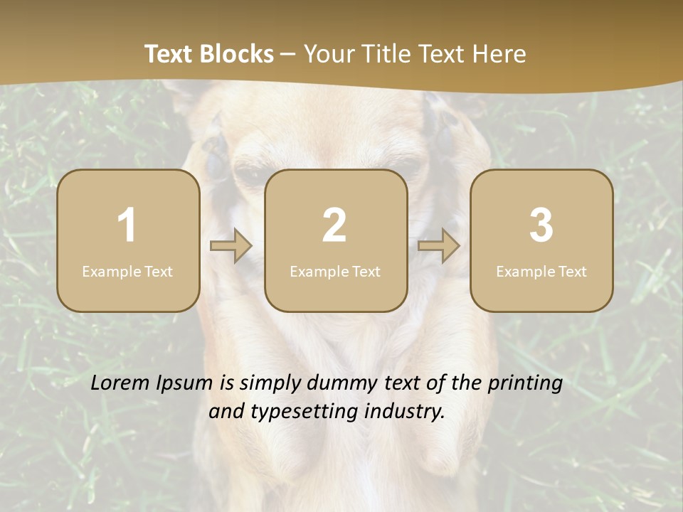 Mammal Canine Grass PowerPoint Template