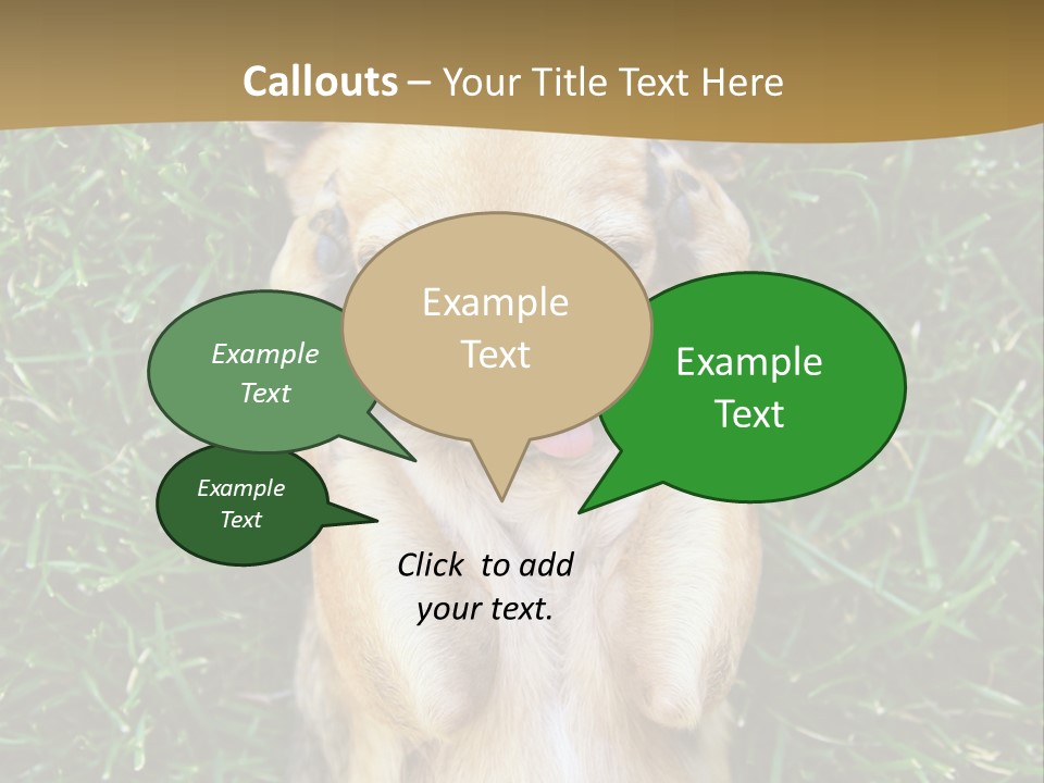 Mammal Canine Grass PowerPoint Template