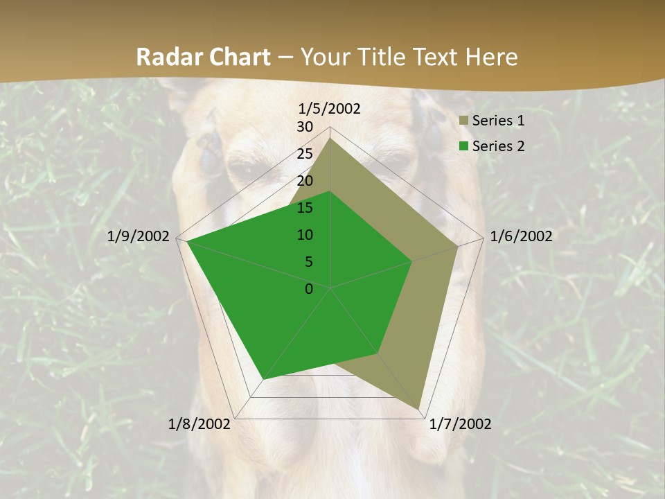 Mammal Canine Grass PowerPoint Template