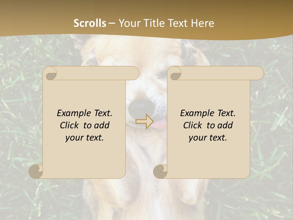Mammal Canine Grass PowerPoint Template