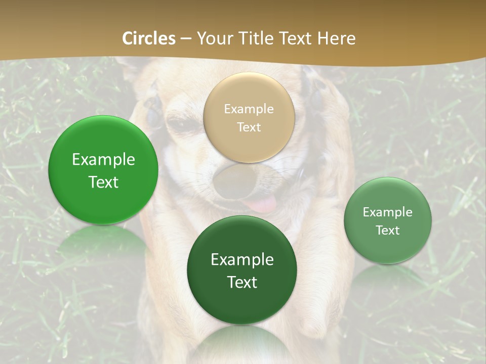 Mammal Canine Grass PowerPoint Template