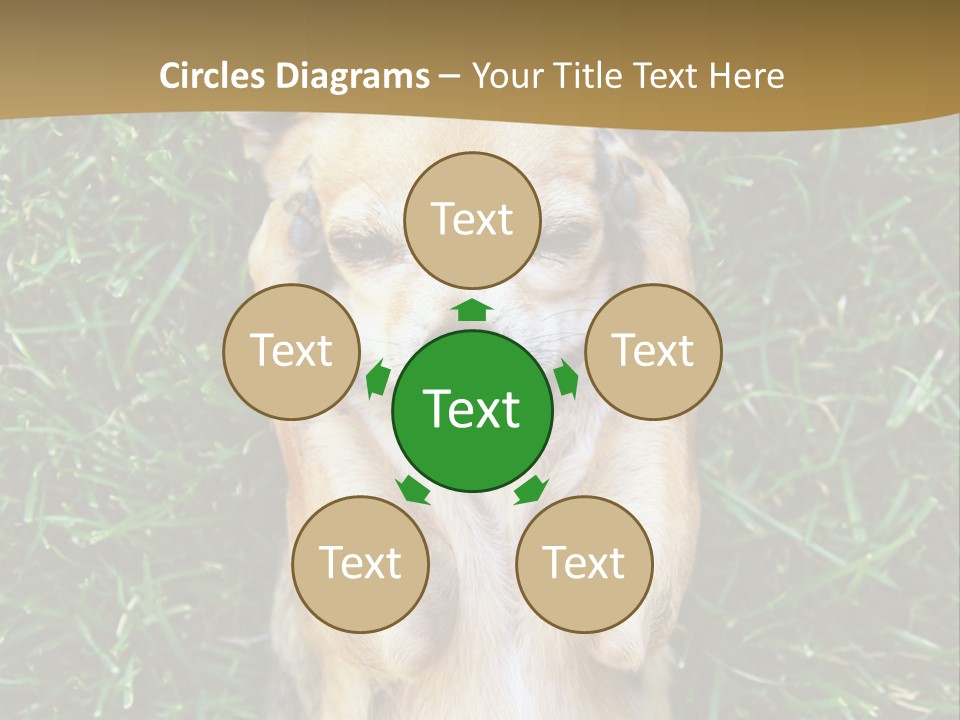 Mammal Canine Grass PowerPoint Template