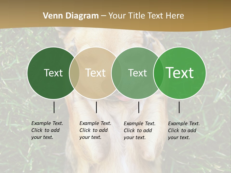 Mammal Canine Grass PowerPoint Template