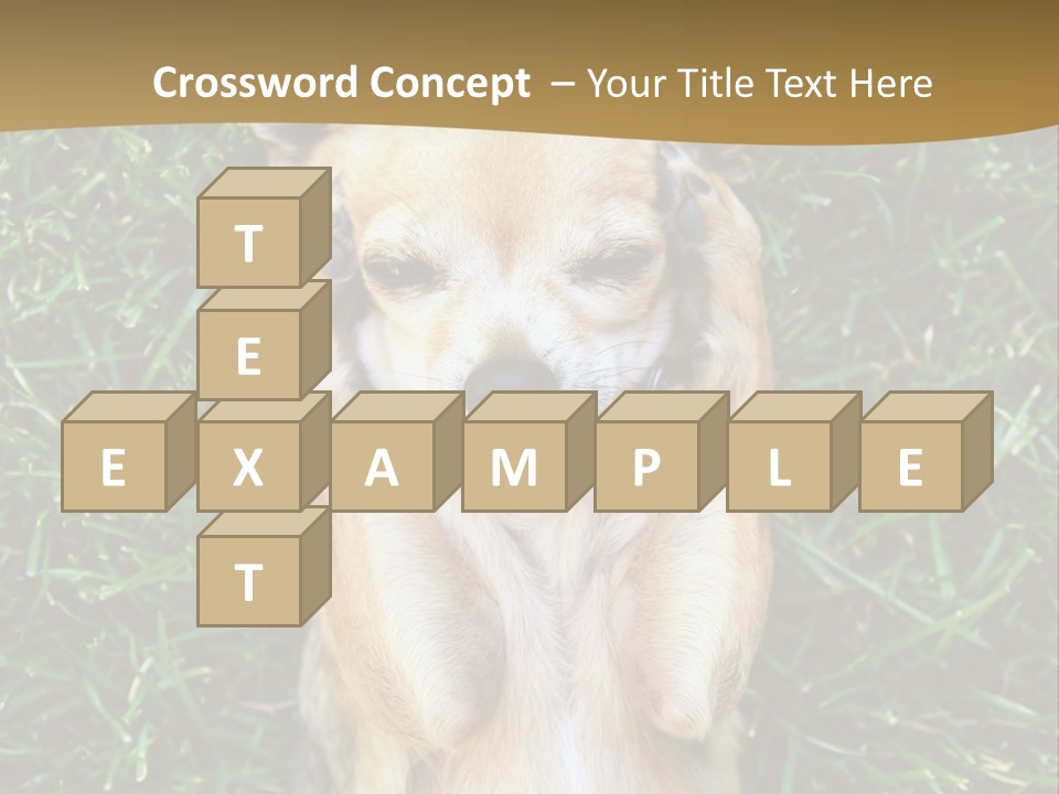 Mammal Canine Grass PowerPoint Template