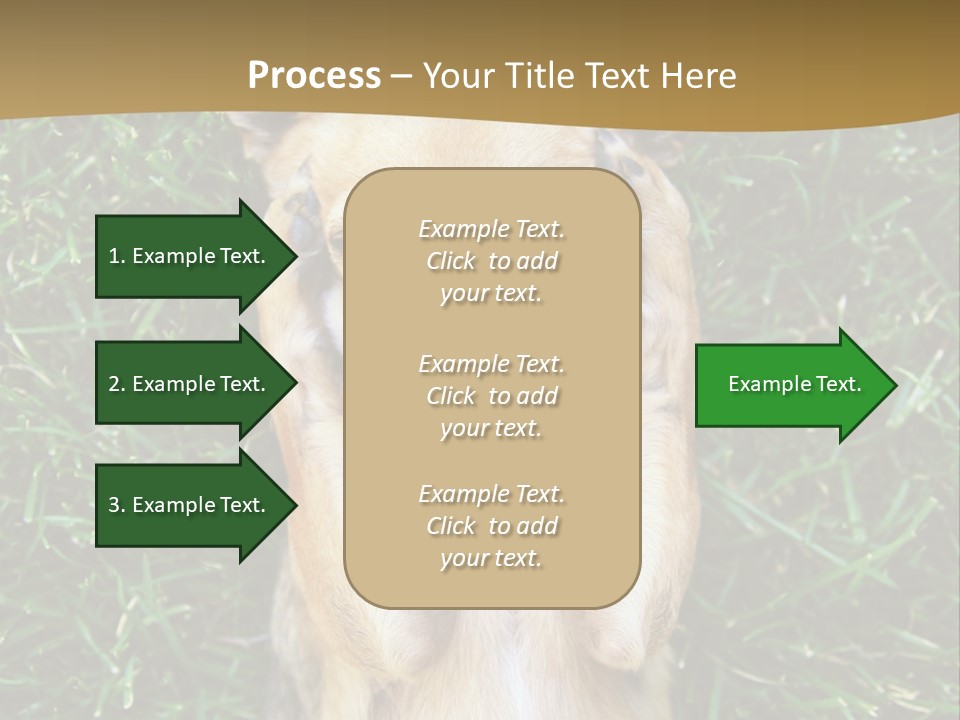 Mammal Canine Grass PowerPoint Template